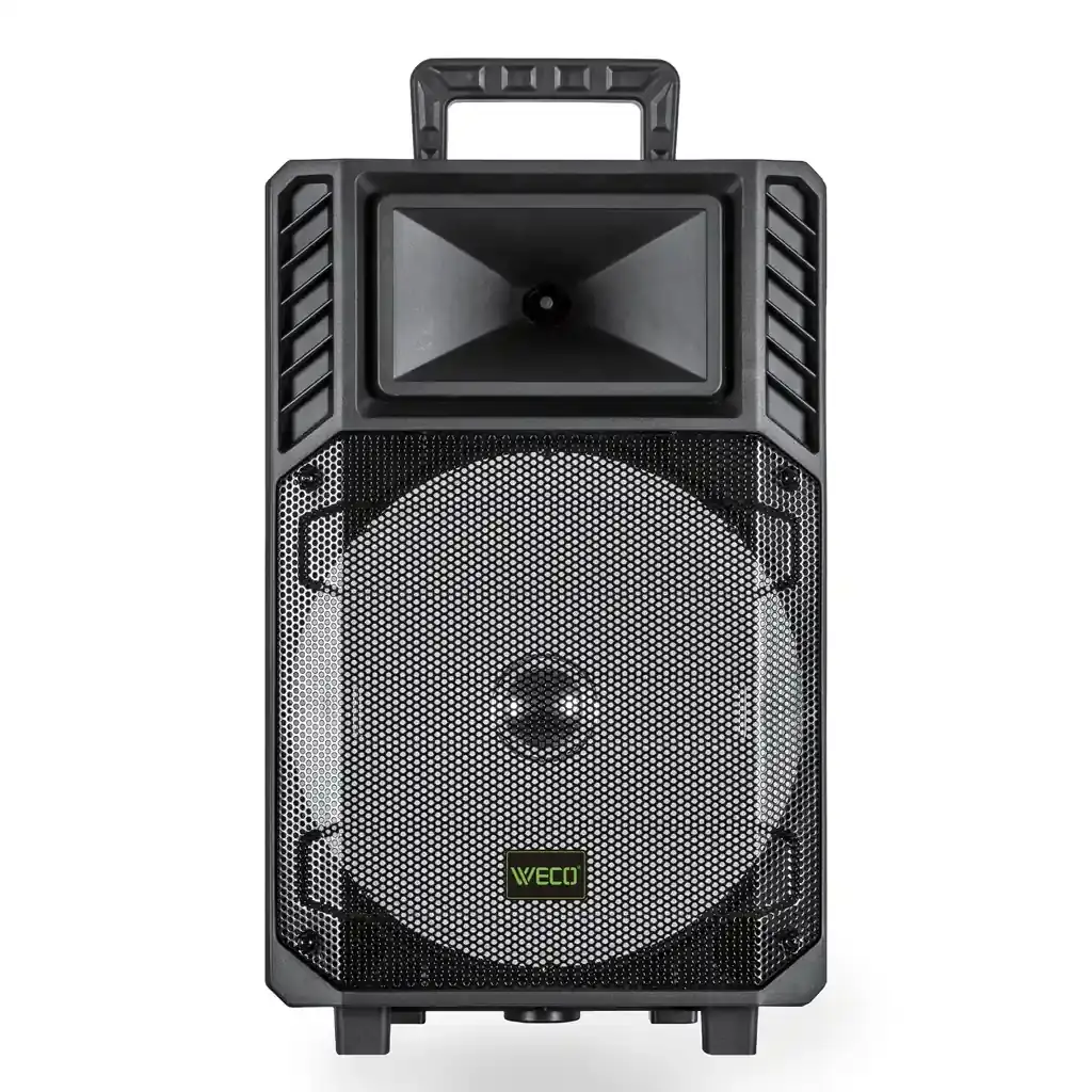 wes-100-1 اسپیکر ویکو WeS-100 Singel 12 inch گارانتی 12 ماهه - Image 1